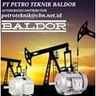 ABB GROUP AGENT BALDOR PT PETRO TEKNIK Electric Motor Baldor 5 1